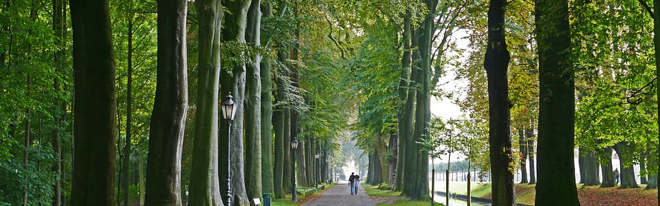 Courir avec son coach sportif dans les parcs de Versailles