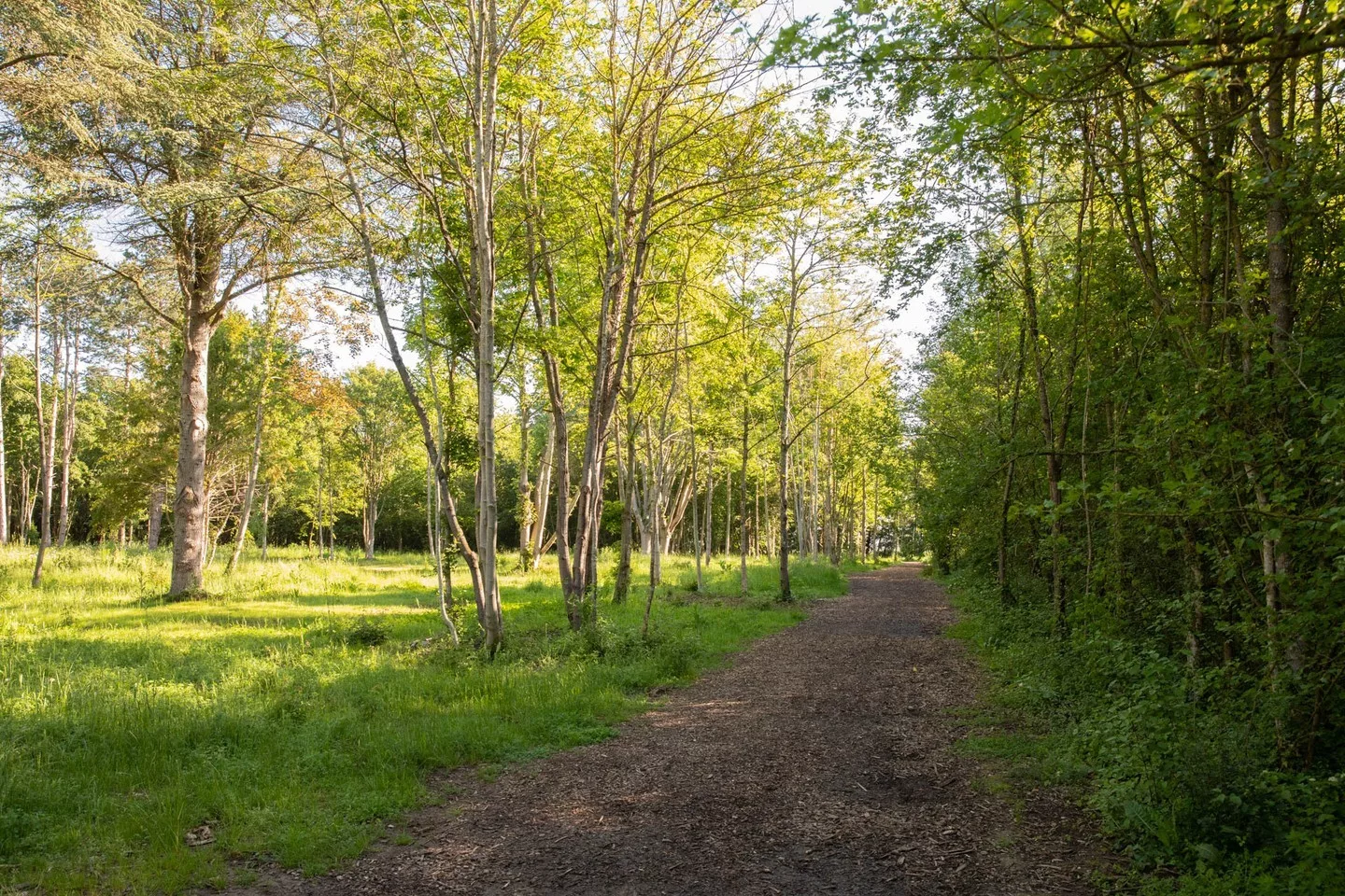 Idéal pour les coachs sportifs, le parc de Pepinière de Villepreux